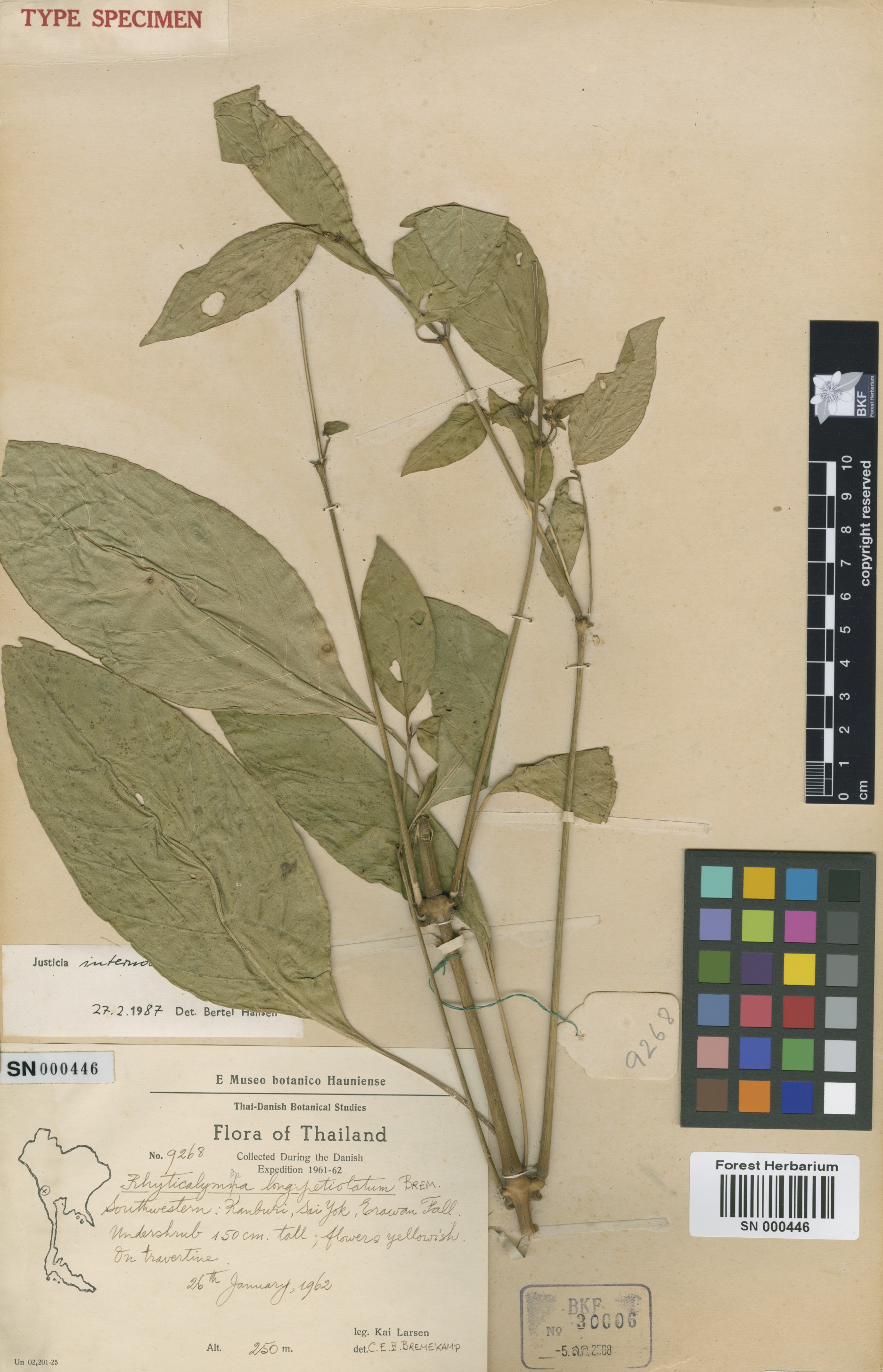 Type Specimens Database
