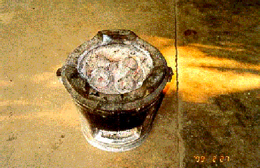 green_f3.gif (81562 bytes)