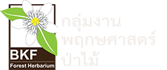 Learts Logo