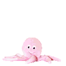 octopus2.gif (10965 bytes)