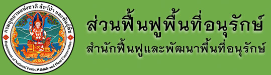 logo repa